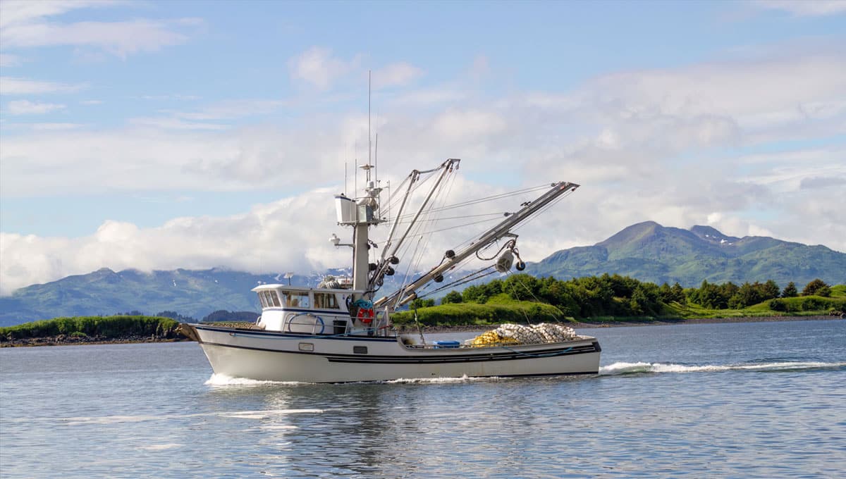 Fishing boat in the water